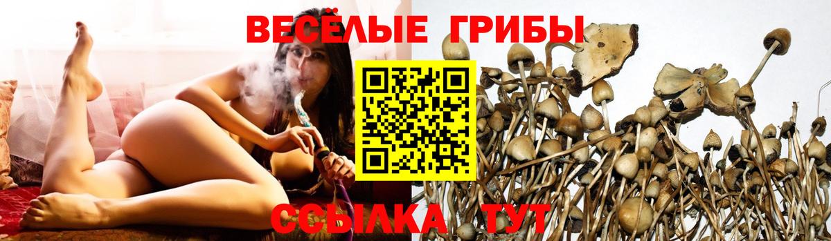 Галлюциногенные грибы мухоморы Знаменск